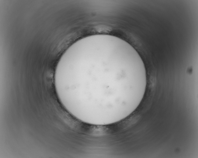 X0000116300321200912211907