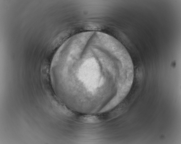 X0000116300322200912211907