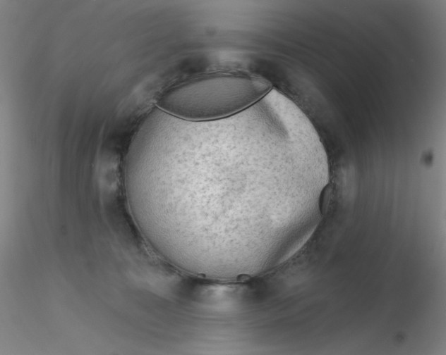 X0000116300323200912211907