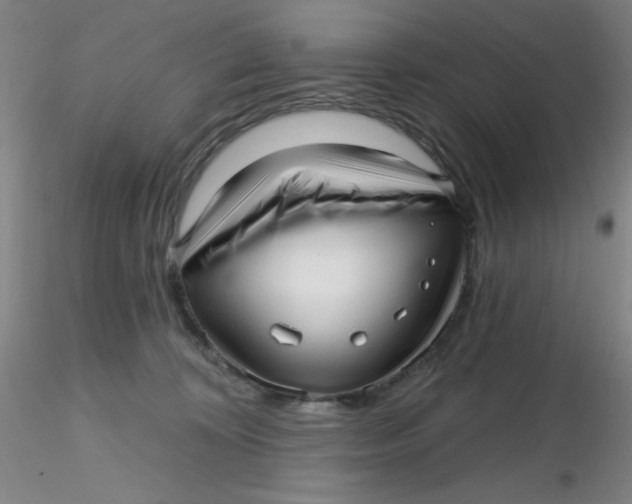 X0000116300324200912211907