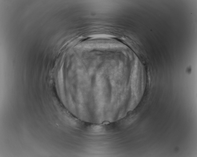 X0000116300325200912211907