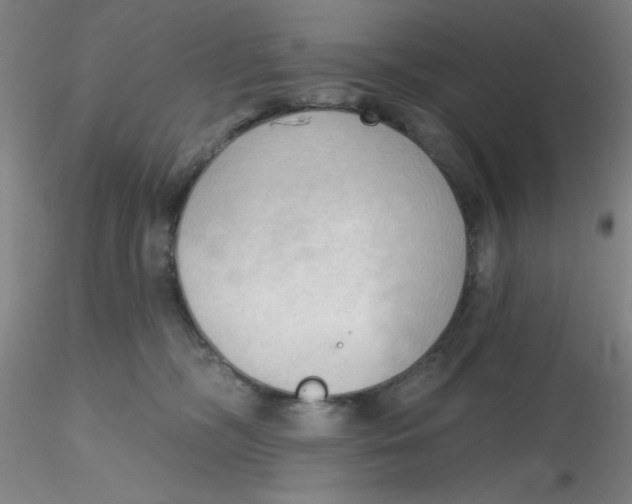 X0000116300326200912211907