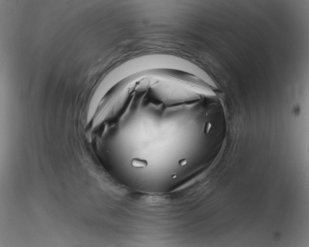 X0000116300327200912211907