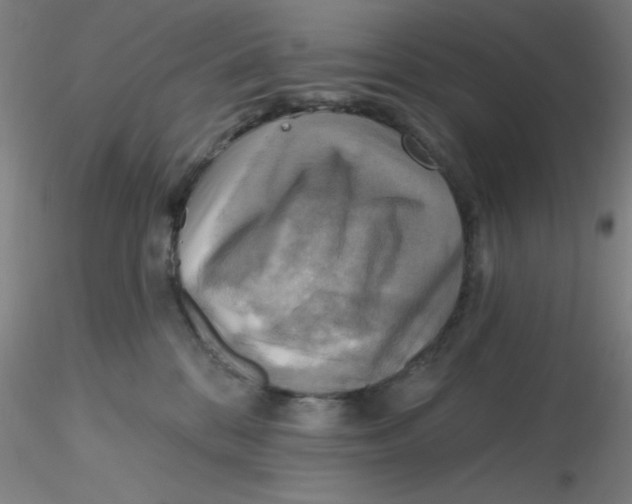 X0000116300328200912211907