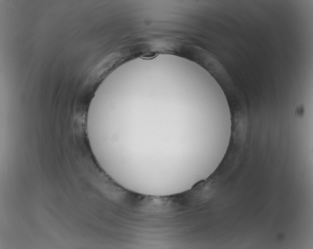 X0000116300329200912211907