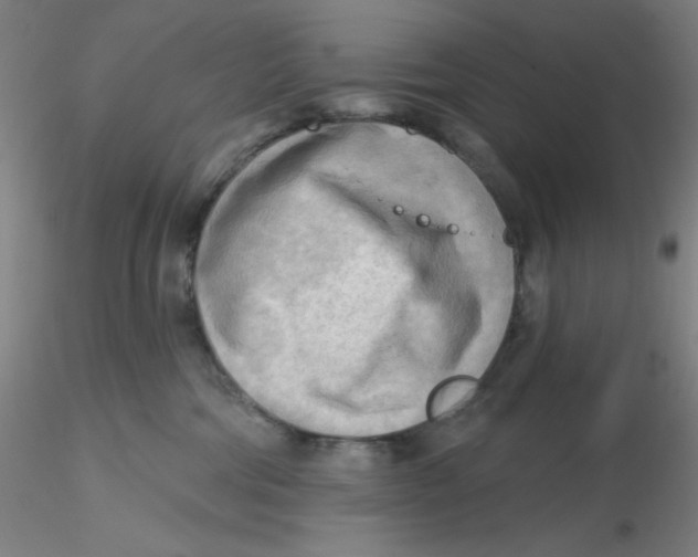 X0000116300330200912211907