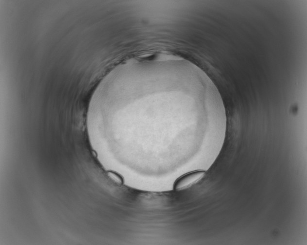 X0000116300331200912211907