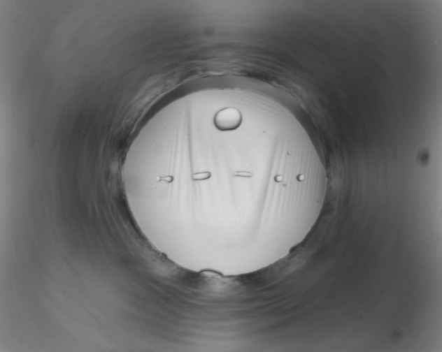 X0000116300333200912211907