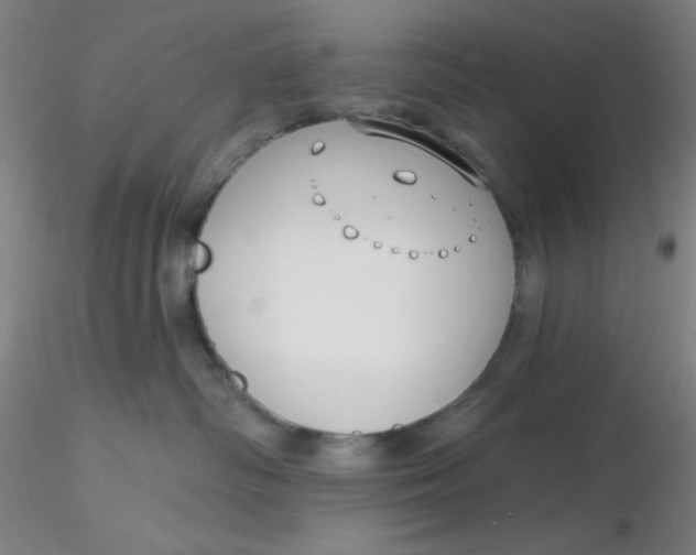 X0000116300334200912211907