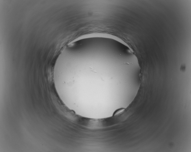 X0000116300335200912211906