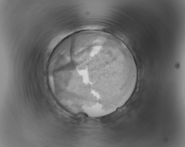 X0000116300337200912211906