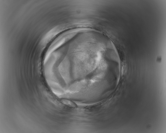 X0000116300339200912211906