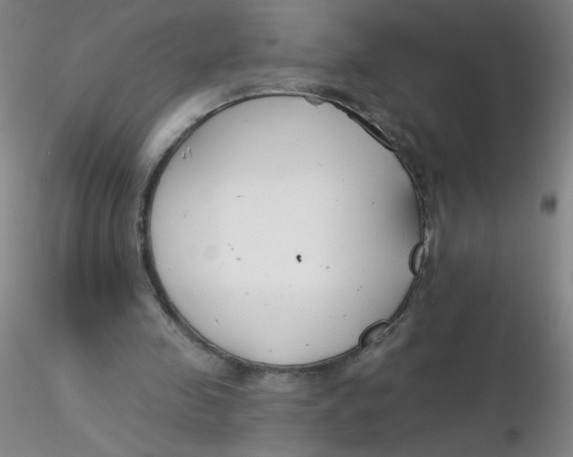 X0000116300341200912211906