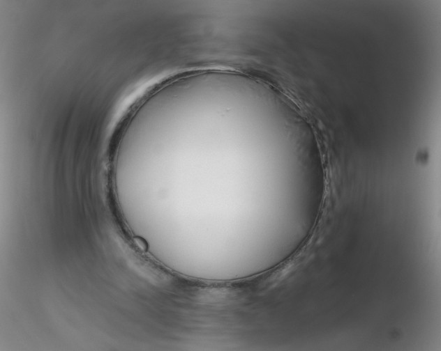 X0000116300342200912211906