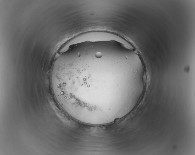 X0000116300345200912211906