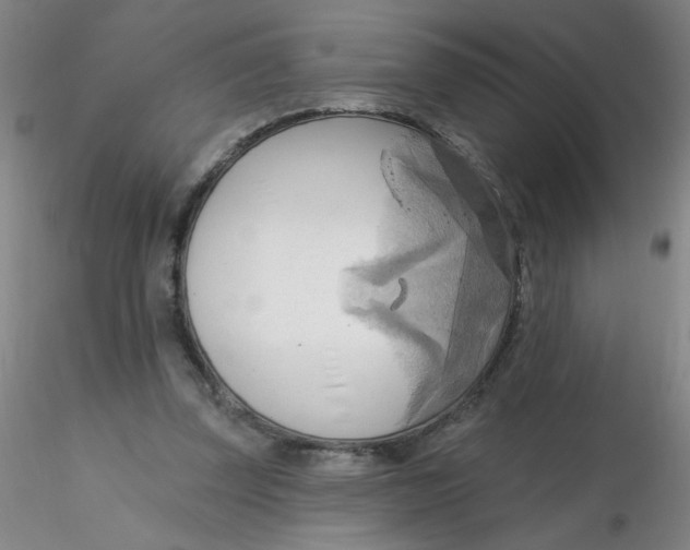 X0000116300347200912211906