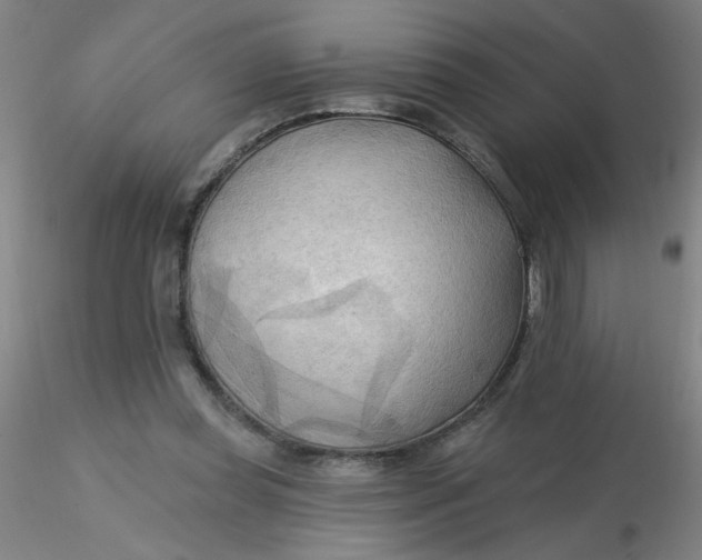 X0000116300349200912211906