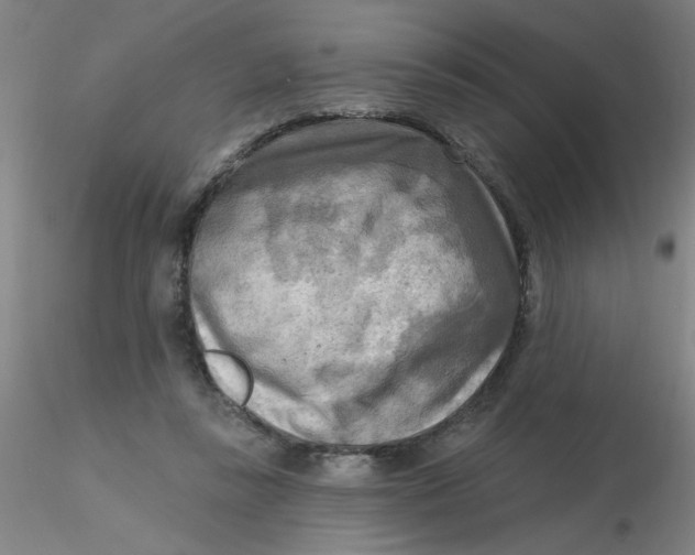 X0000116300355200912211906