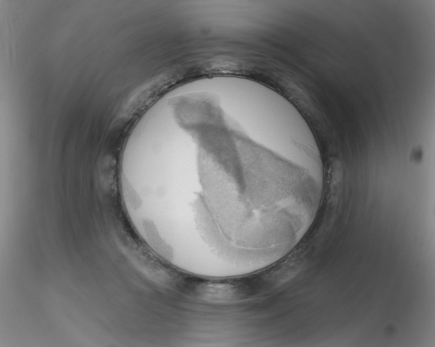 X0000116300361200912211906