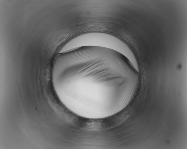 X0000116300362200912211906