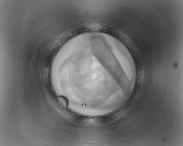 X0000116300365200912211906