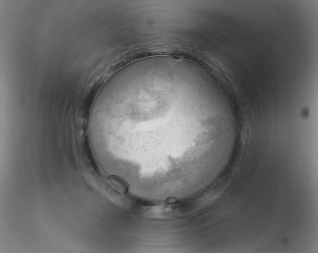 X0000116300366200912211906