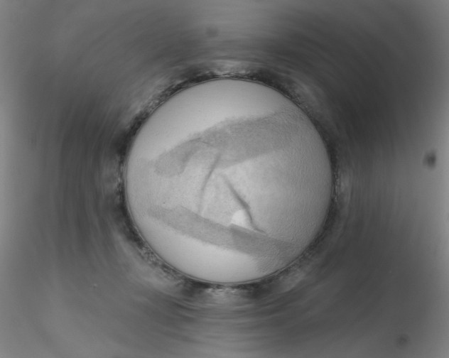 X0000116300367200912211906