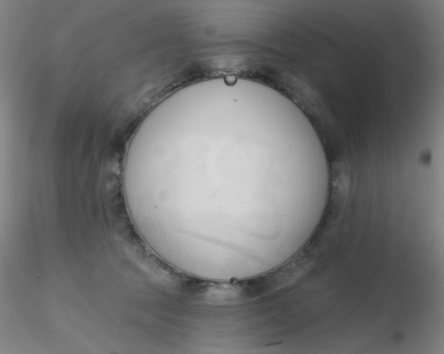 X0000116300369200912211906