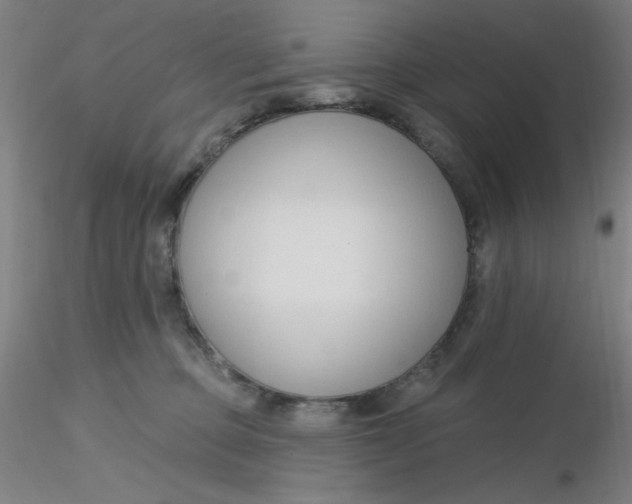 X0000116300373200912211906