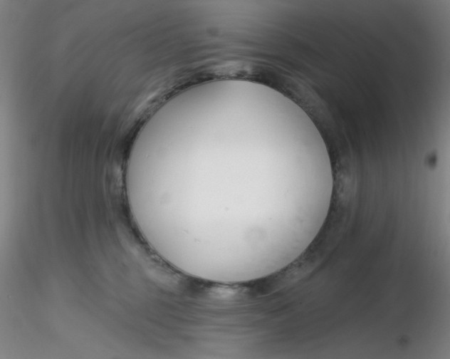 X0000116300375200912211906