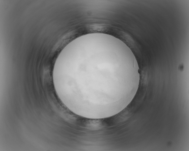 X0000116300377200912211906