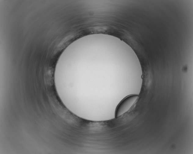 X0000116300378200912211906