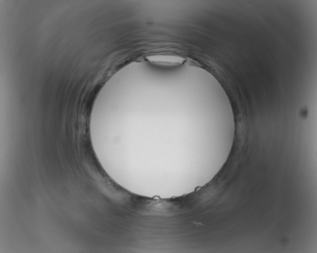 X0000116300379200912211906