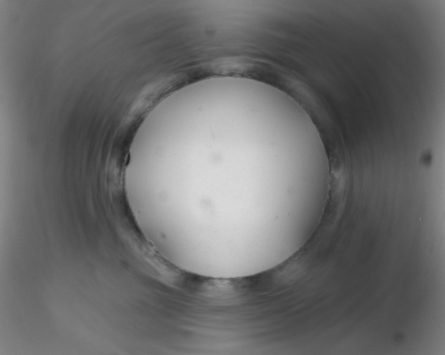 X0000116300381200912211906