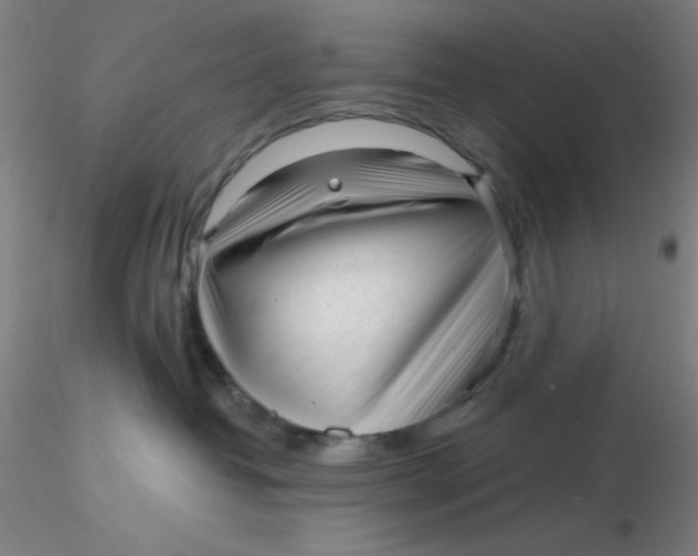 X0000116300382200912211906