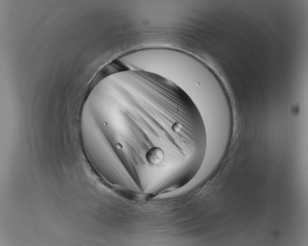 X0000116300385200912211906