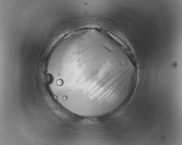 X0000116300386200912211906