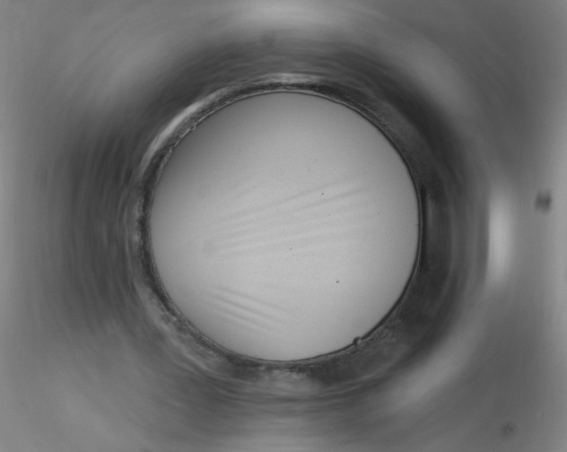 X0000116300387200912211906