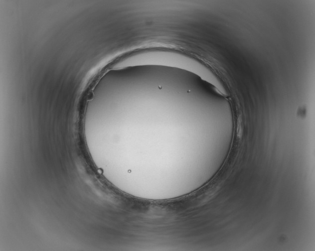 X0000116300388200912211906