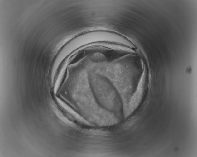 X0000116300389200912211906