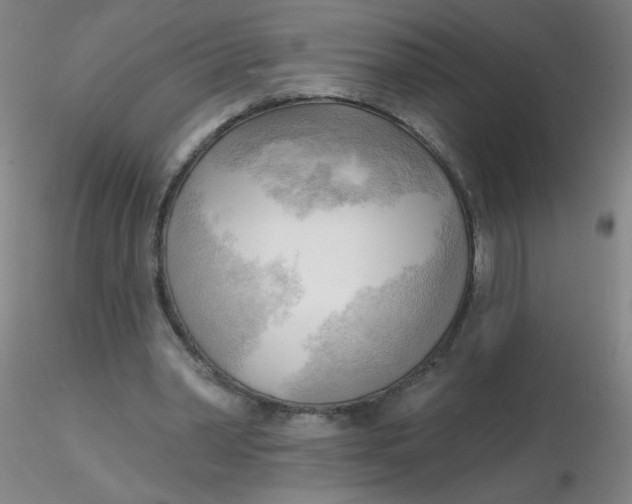 X0000116300390200912211906