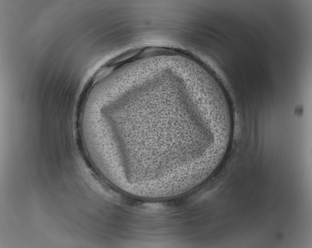 X0000116300391200912211906