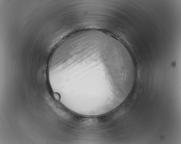 X0000116300398200912211906