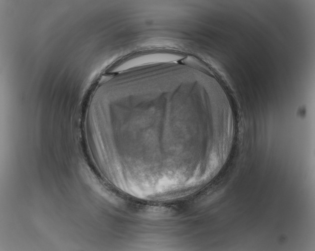 X0000116300399200912211906