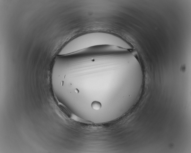 X0000116300401200912211906