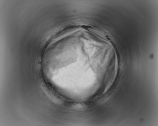 X0000116300402200912211906