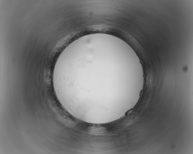 X0000116300403200912211906