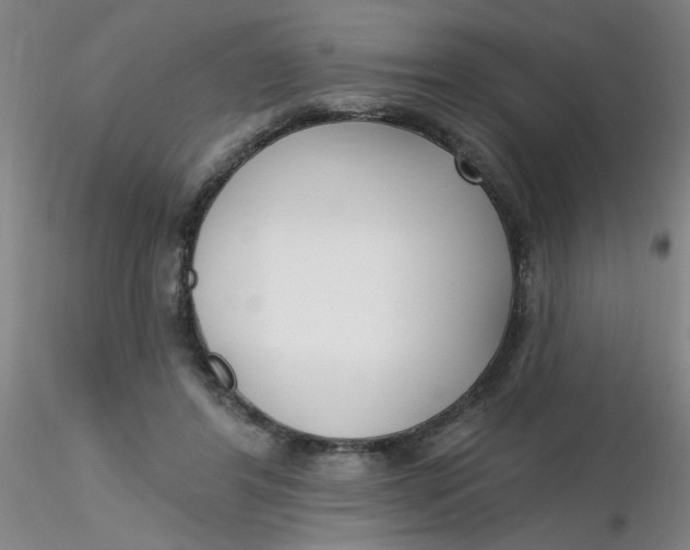 X0000116300404200912211906