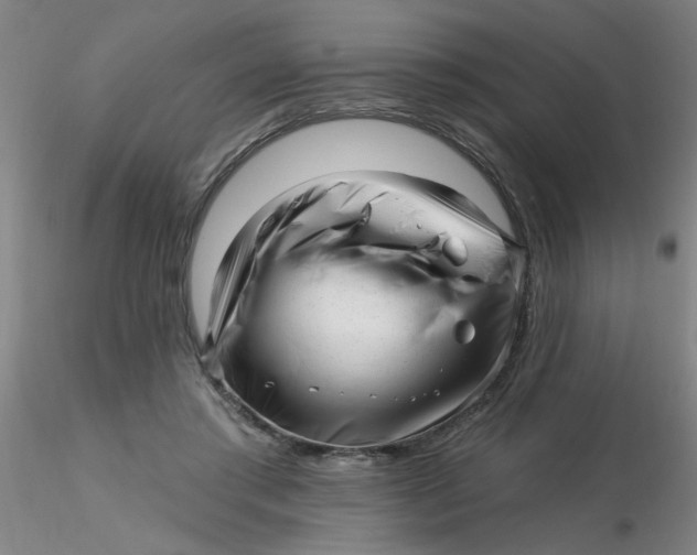 X0000116300405200912211906