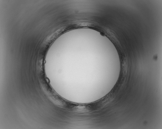 X0000116300406200912211906